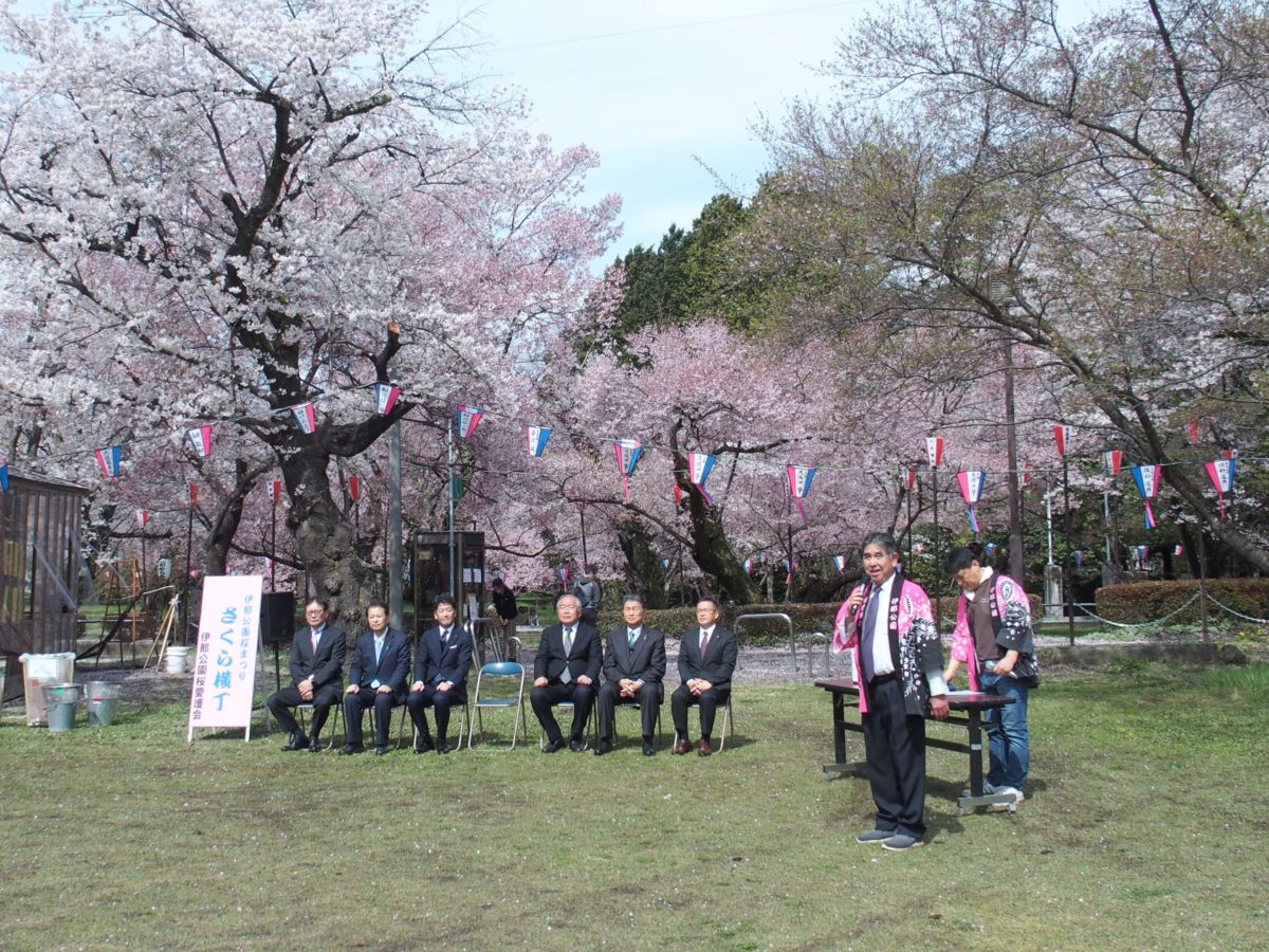 伊那公園桜まつり開会式、煎茶道方円流初春の茶会に出席し、伊那市内各地で桜を撮影しました